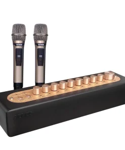 Micro Karaoke Acnos Mi30S v2 (new 2024)