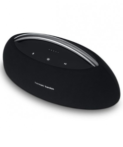 Harman Kardon Go Play
