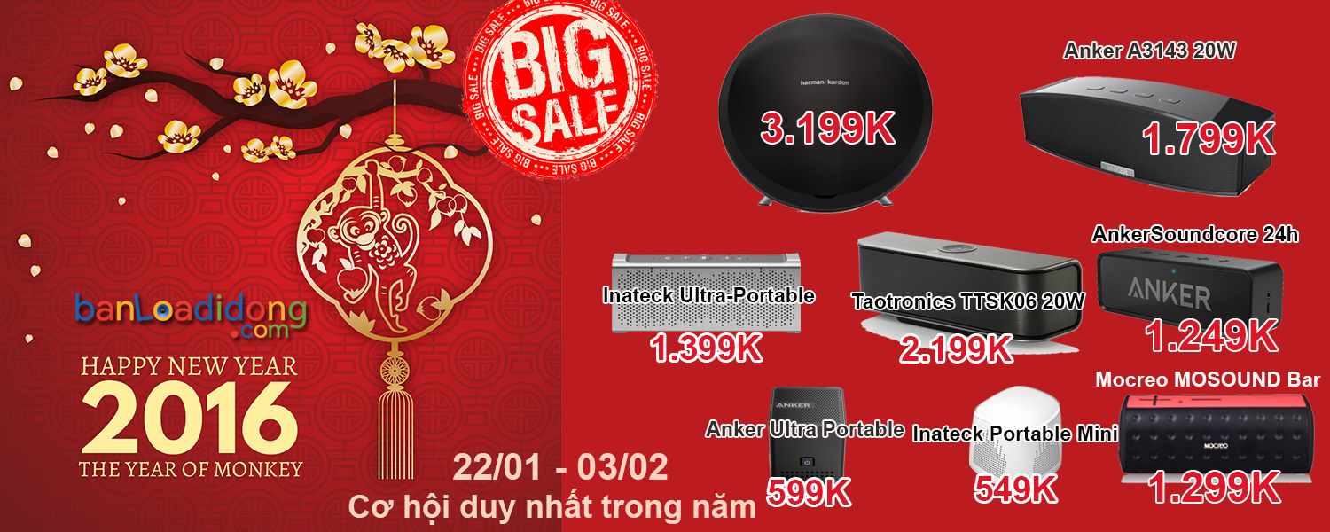 bigsale2016